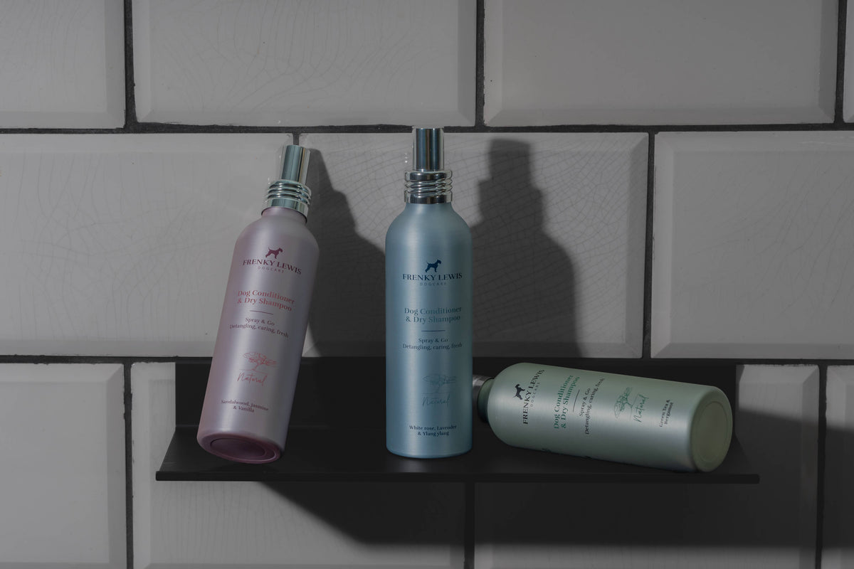 Dry Shampoo & Conditioner - White Rose, Lavender, Yl -150ML