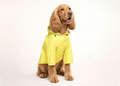 Sunshine Rain Jacket