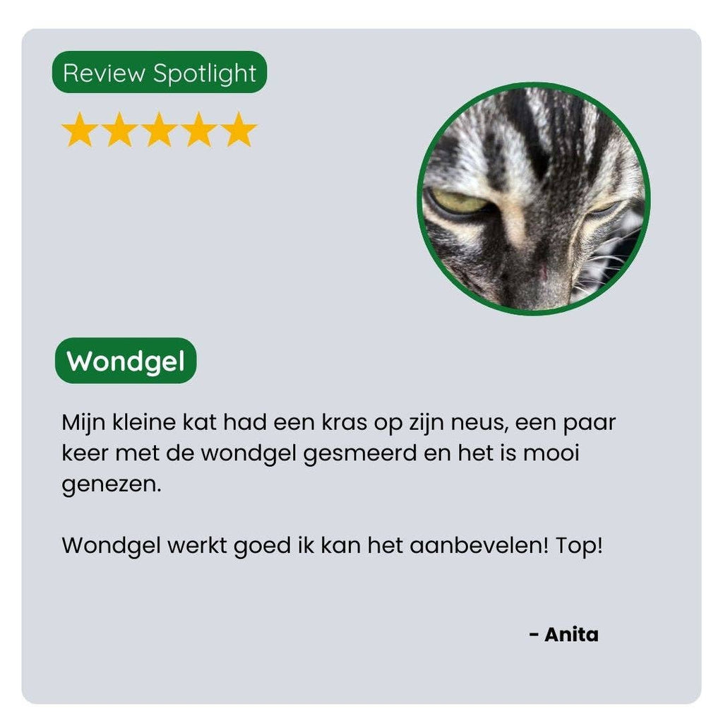 Wondgel