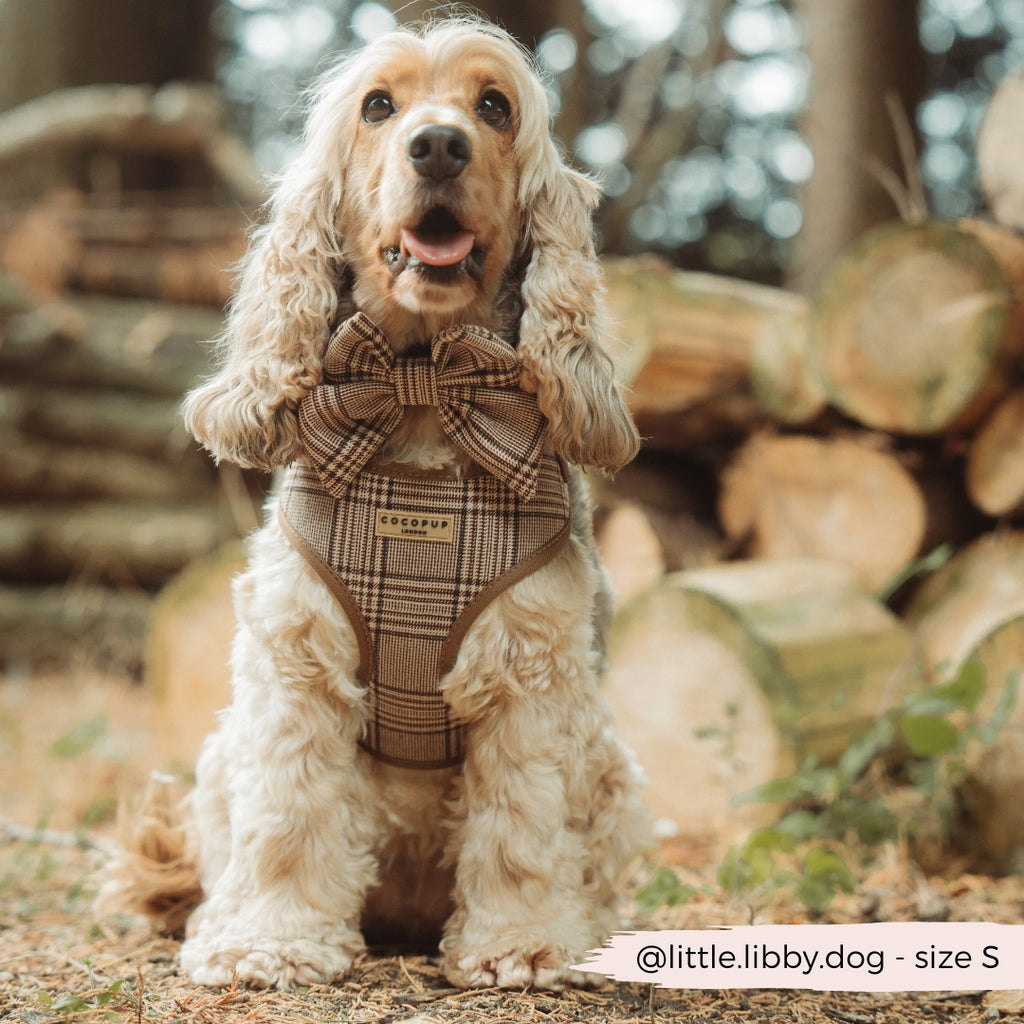 Harnais ajustable Pup Plaid | Cocker Spaniel