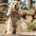 Harnais ajustable Pup Plaid | Cocker Spaniel