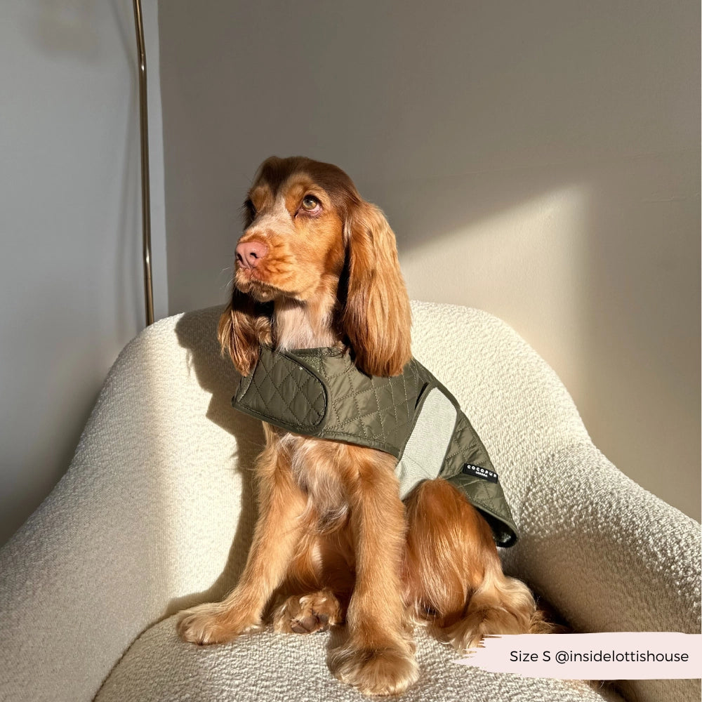 Luxe Quilted Dog Coat – Country Khaki | Cocker Spaniel